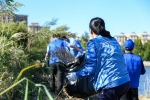共建生态家园 青岛城阳区开展保护母亲河湿地实践活动